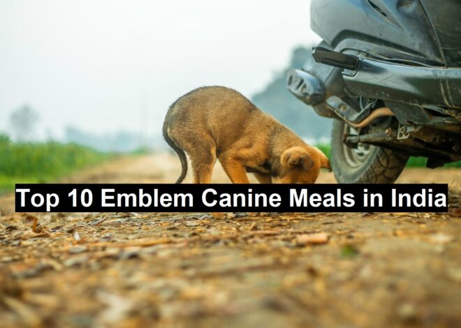 Top 10 Emblem Canine Meals in India