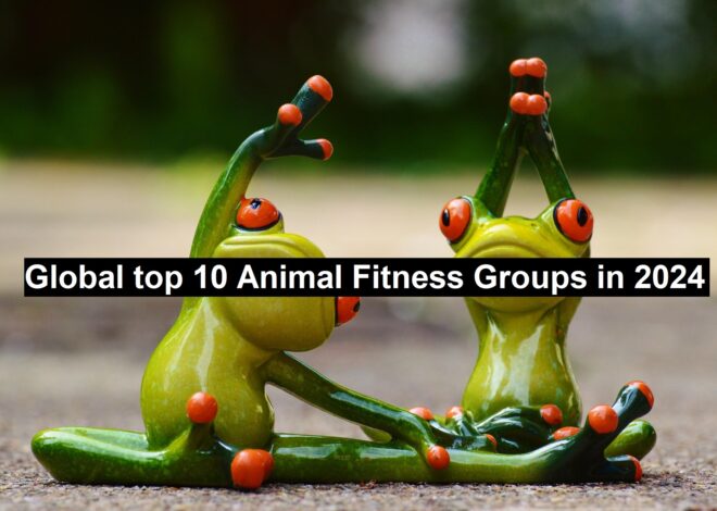 Global Top 10 Animal Fitness Groups in 2024-25
