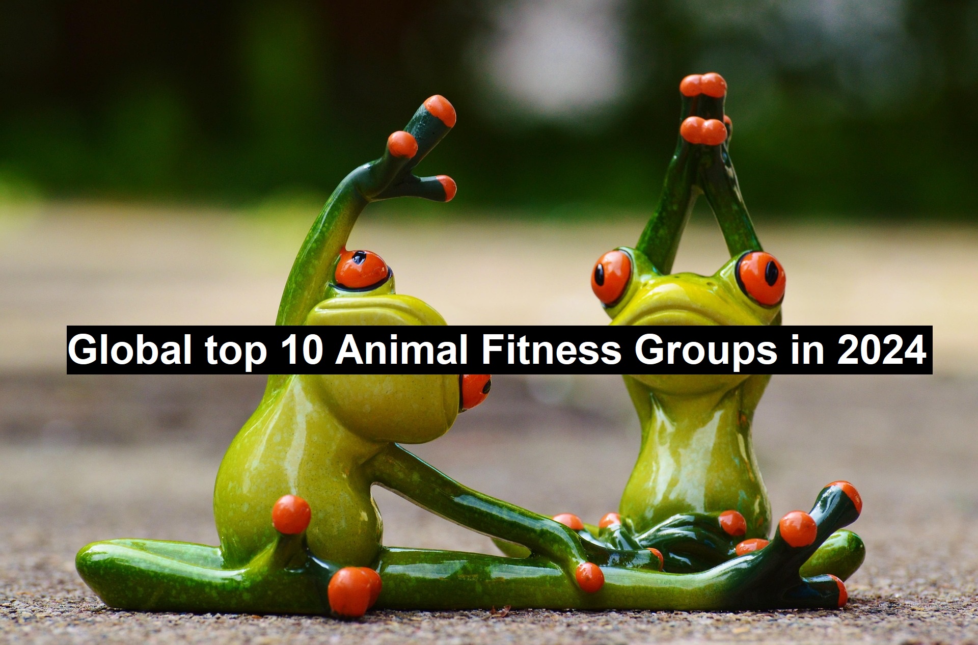 Global Top 10 Animal Fitness Groups in 2024-25