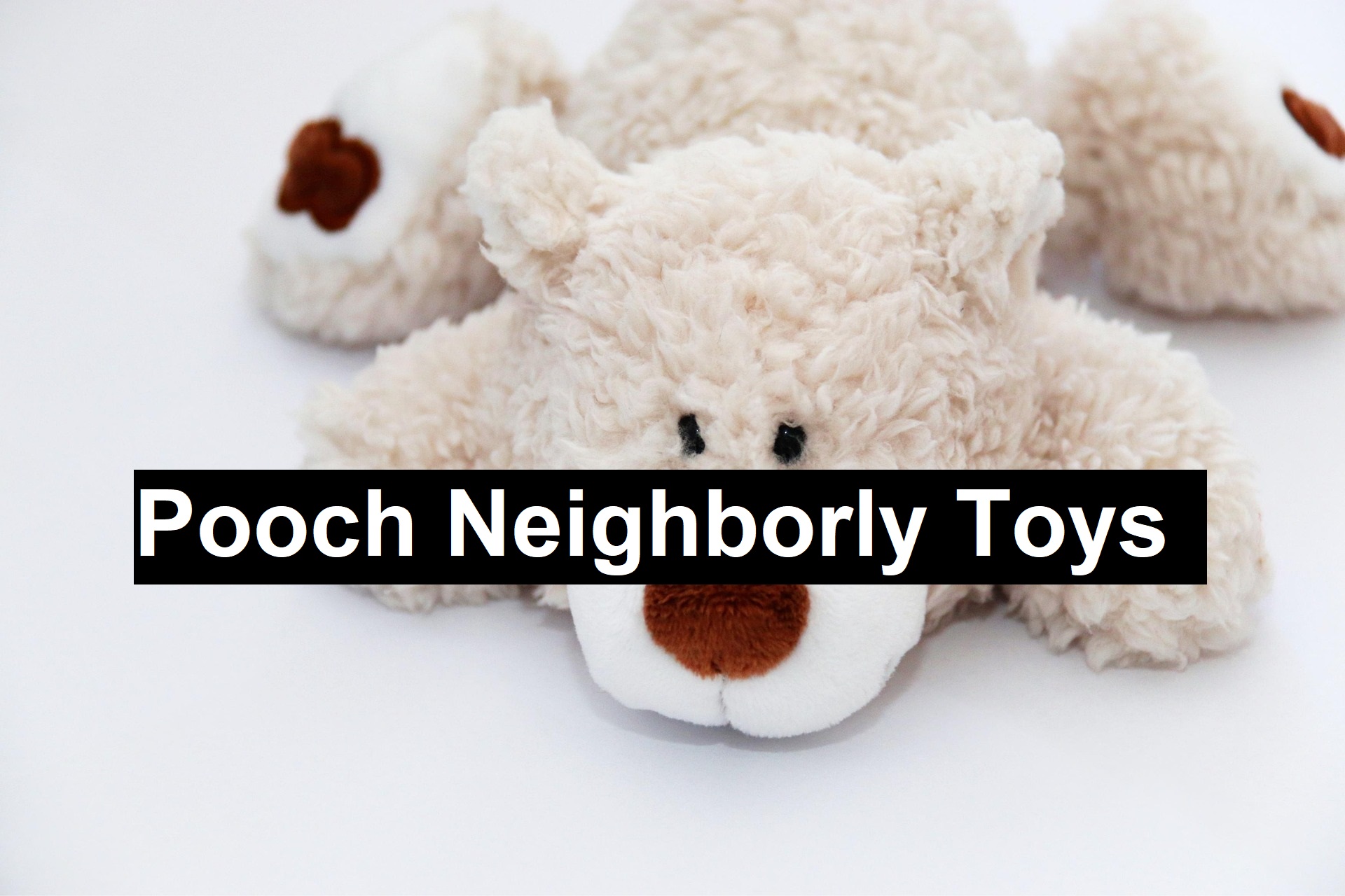 Pooch Neighborly Toys