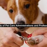 Pet Care Administrations
