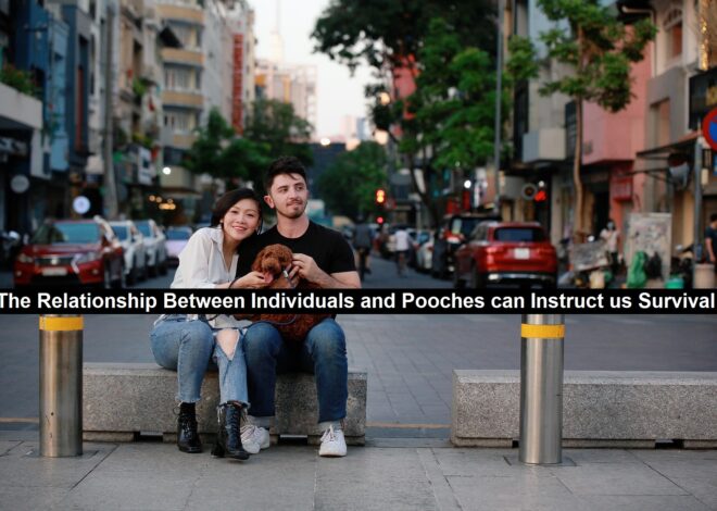 The Relationship Between Individuals and Pooches can Instruct us Survival