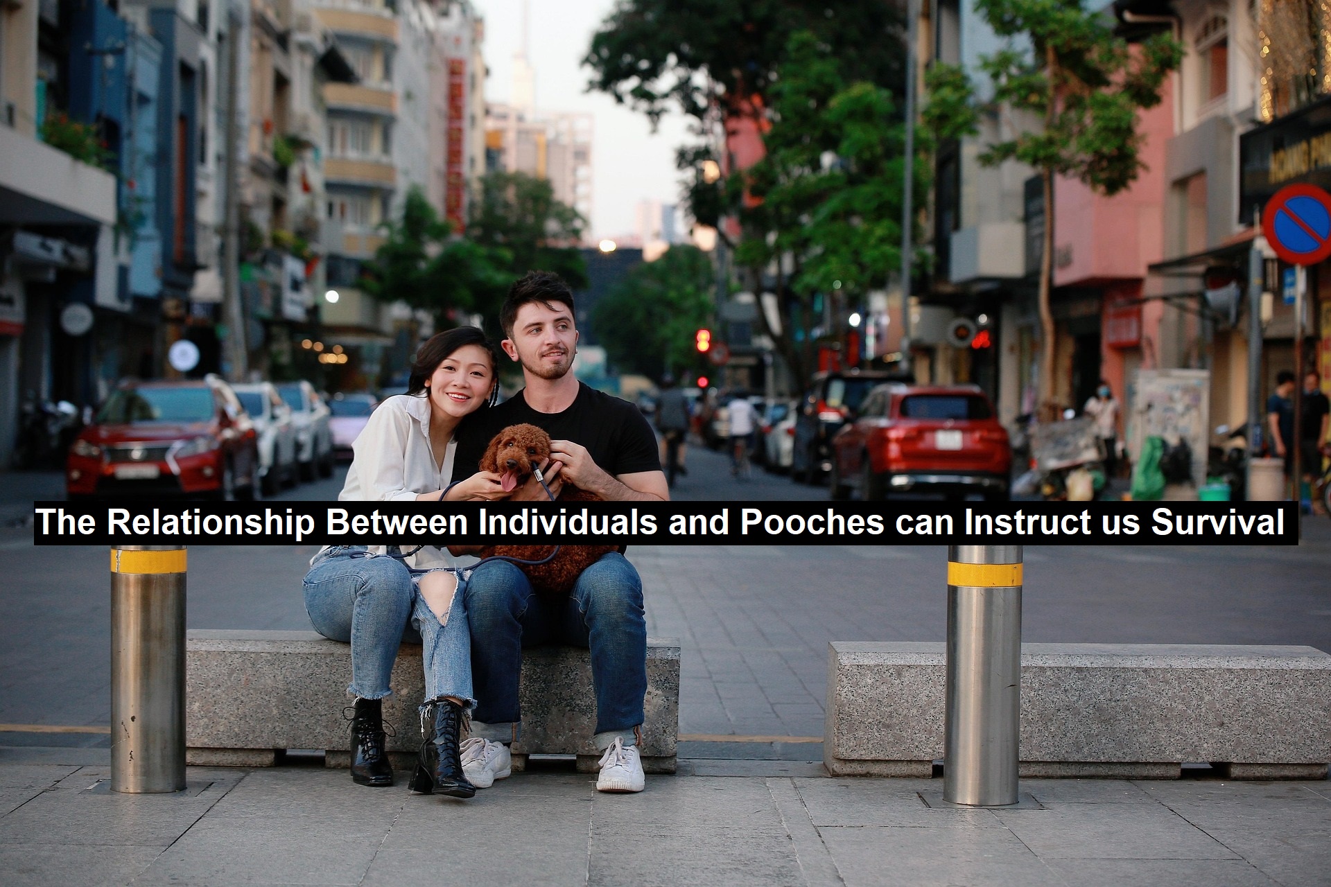 The Relationship Between Individuals and Pooches can Instruct us Survival