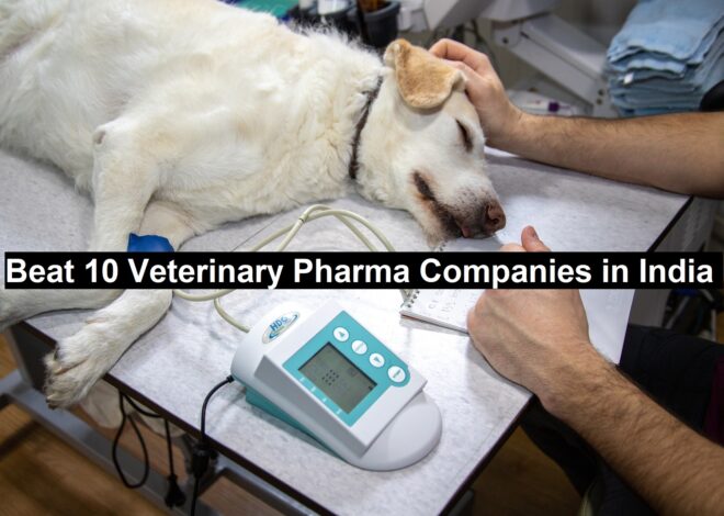 Beat 10 Veterinary Pharma Companies in India