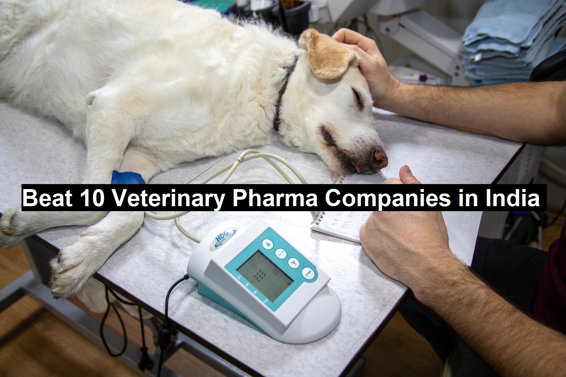 Beat 10 Veterinary Pharma Companies in India