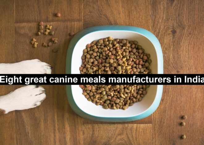 Eight Great Canine Meals Manufacturers in India