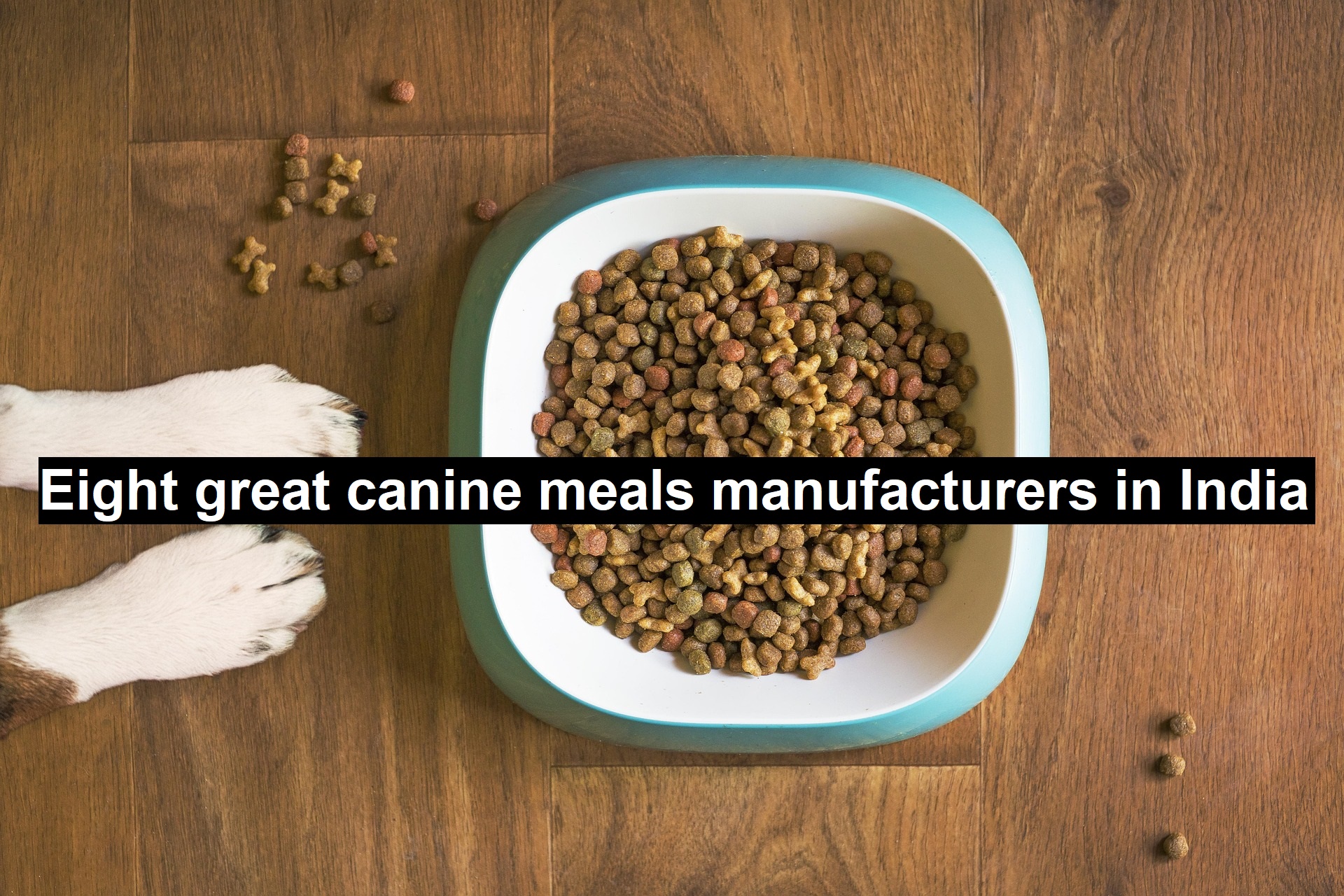 Eight Great Canine Meals Manufacturers in India