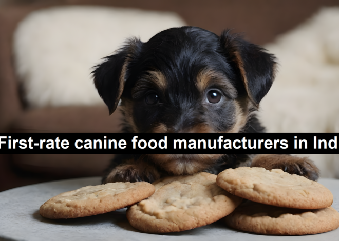 First-rate Canine Food Manufacturers in India