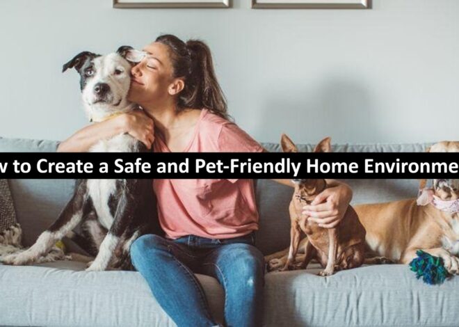 How to Create a Safe and Pet-Friendly Home Environment