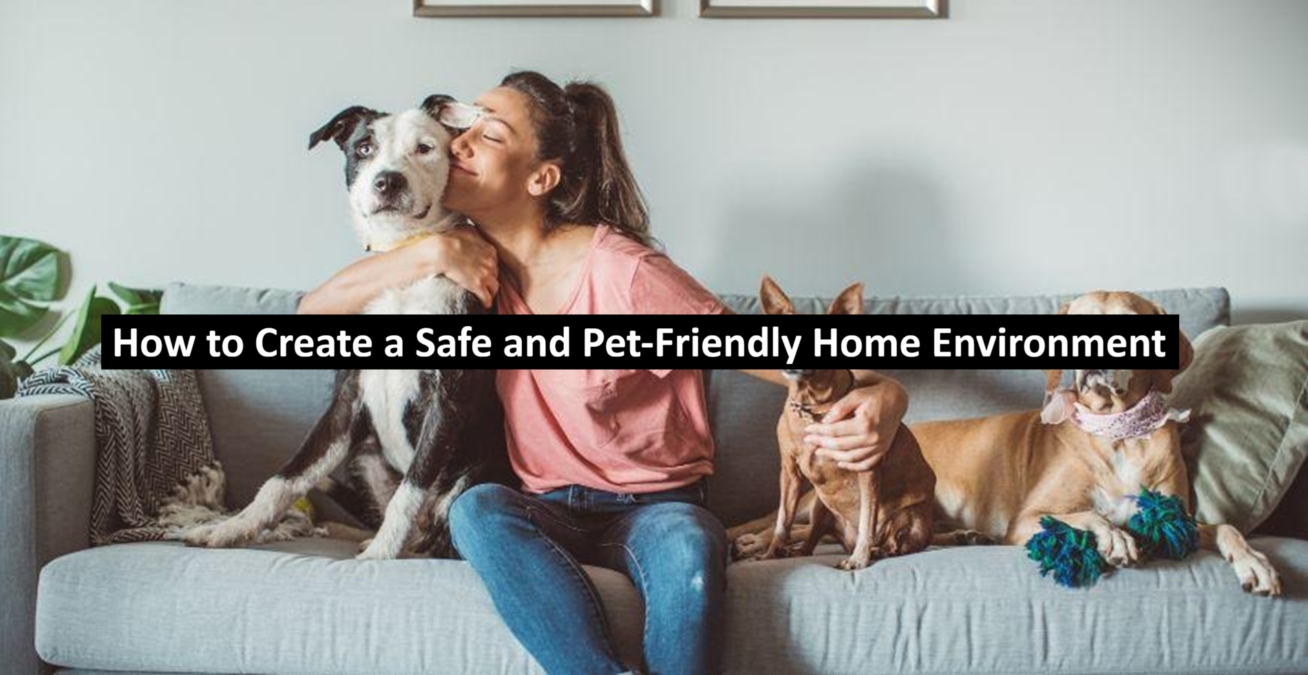 How to Create a Safe and Pet-Friendly Home Environment