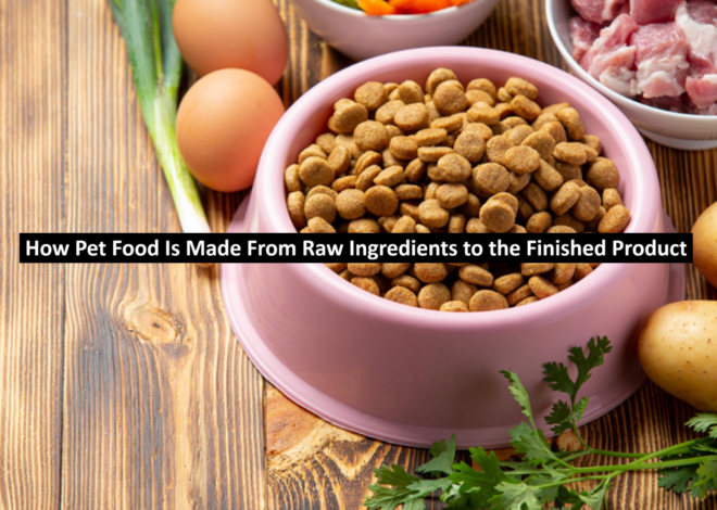 How Pet Food Is Made: From Raw Ingredients to the Finished Product