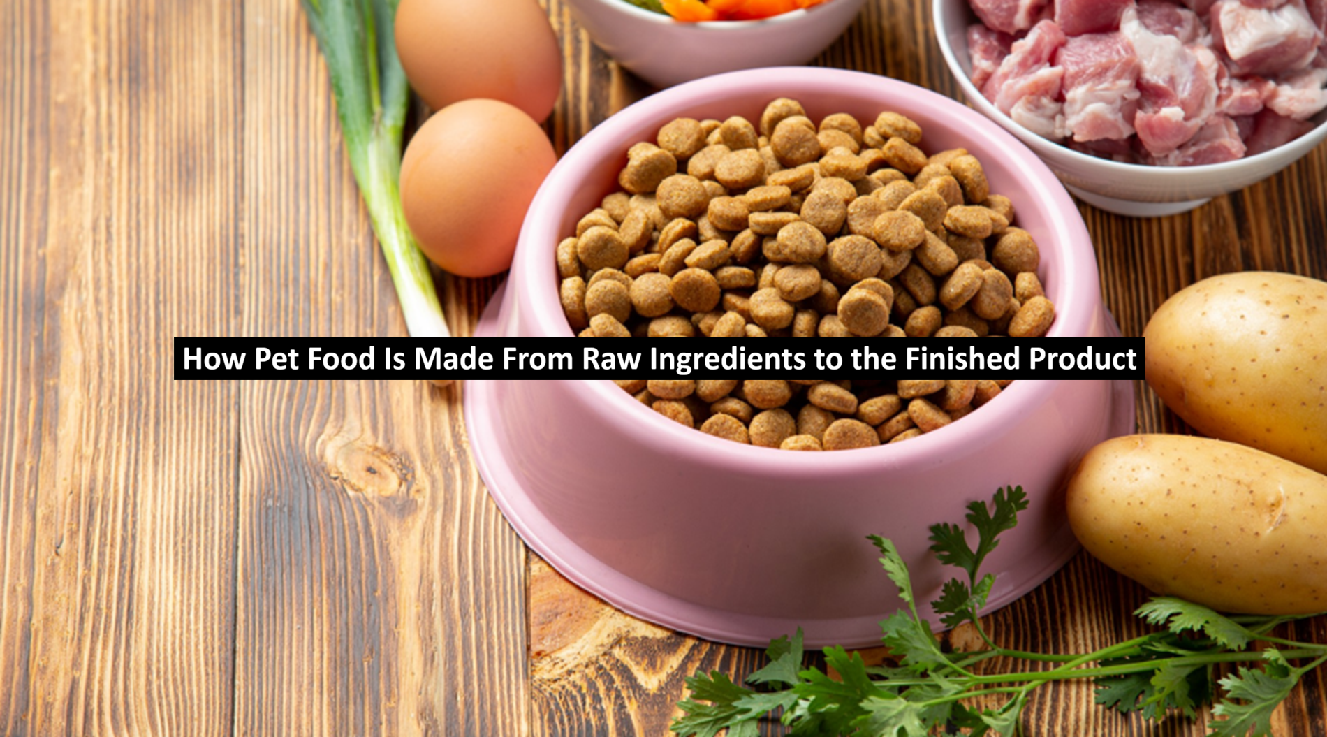 How Pet Food Is Made: From Raw Ingredients to the Finished Product
